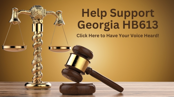 Help Us Get Work: Support Georgia HB613
